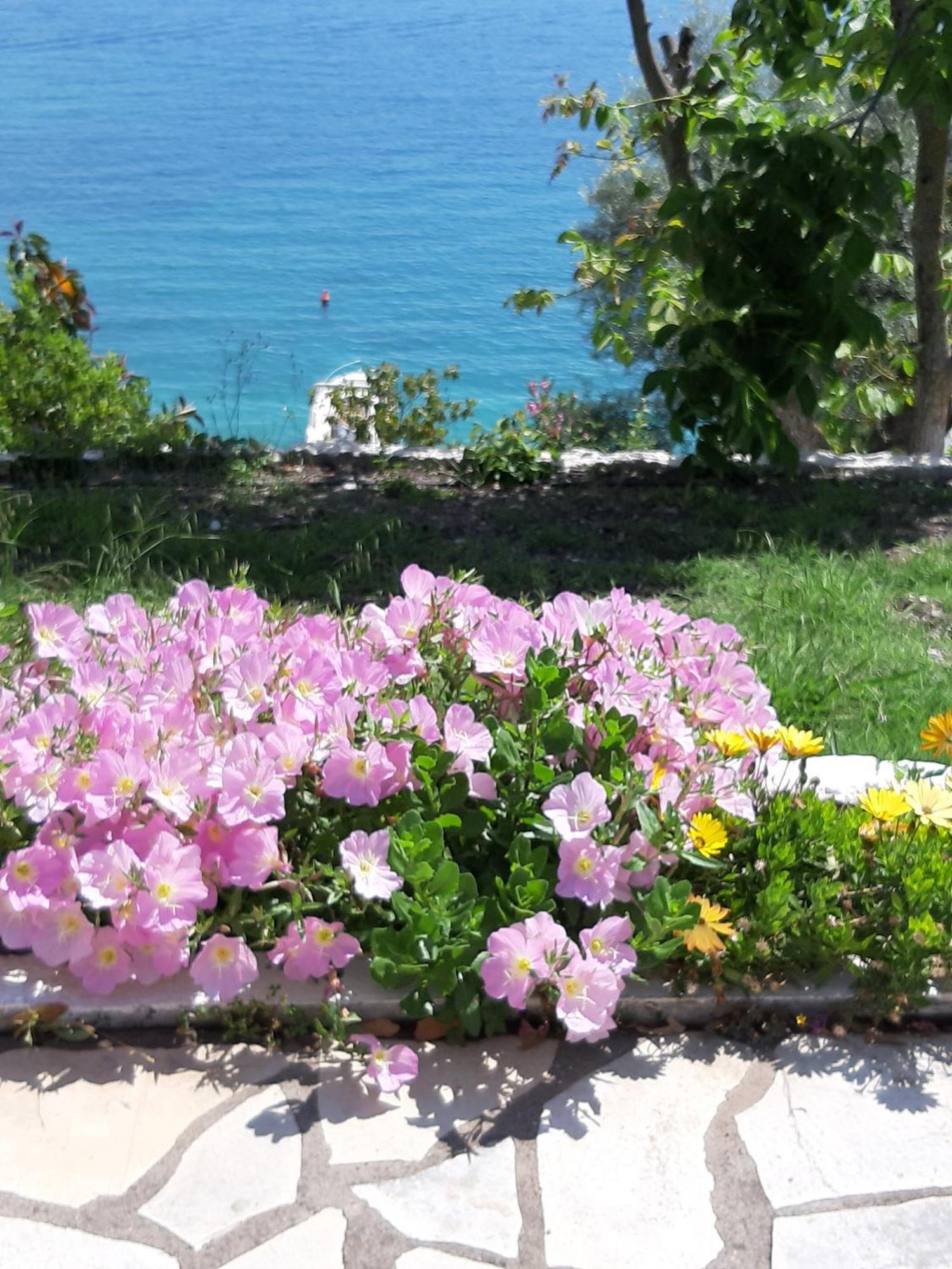 Korakias Seaview Villa Yénion Exterior foto